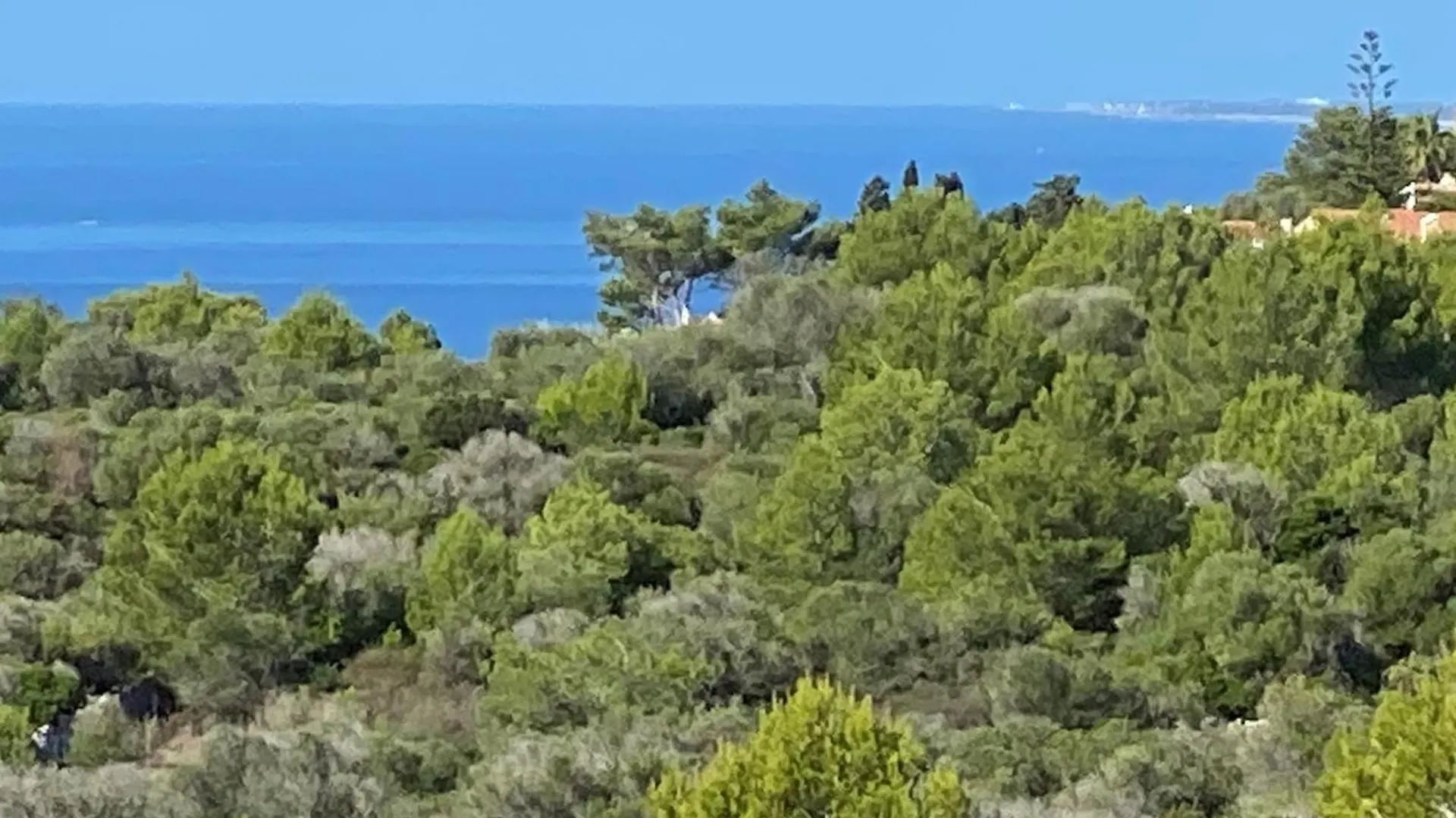 Holiday Home Finca Sant Jaume Alaior Country house